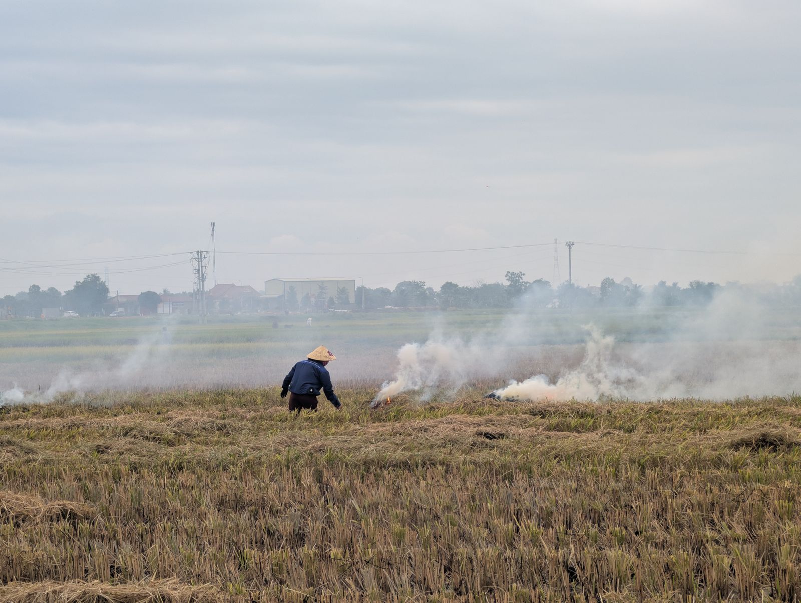 Farmer burning crop residue in an open field — the waste ReCell turns into fuel